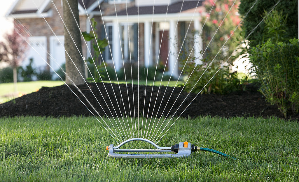 A sprinkler watering a lush lawn.