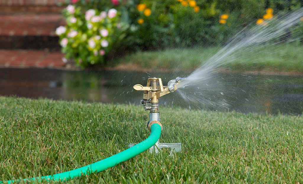 A sprinkler attached to a hose sitting in a yard.