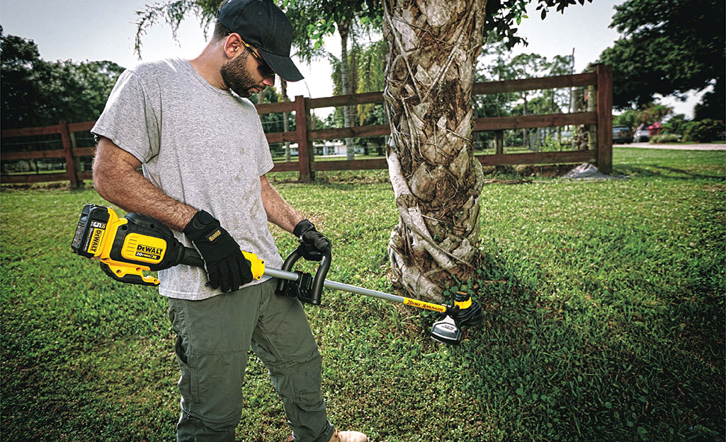 A man wearing a hat and sunglasses uses a string trimmer to cut grass next to the trunk of a tree. 