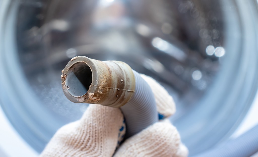 Someone holding the end of an old washing machine hose with a front-load washing machine in the background.