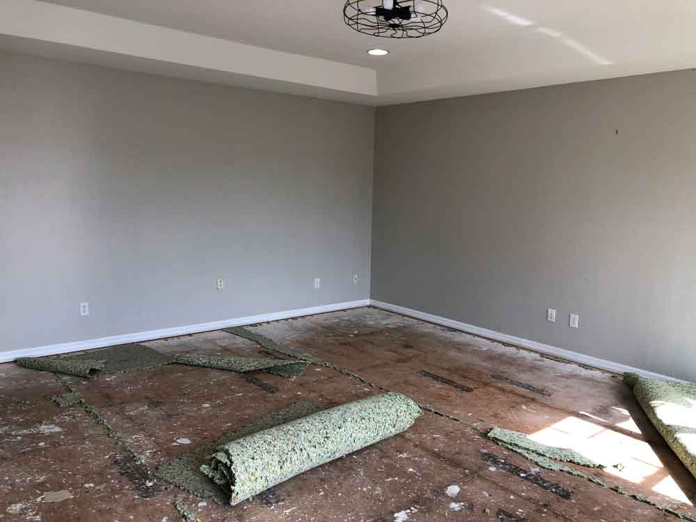 Bonus Room Makeover with Lifeproof Carpet