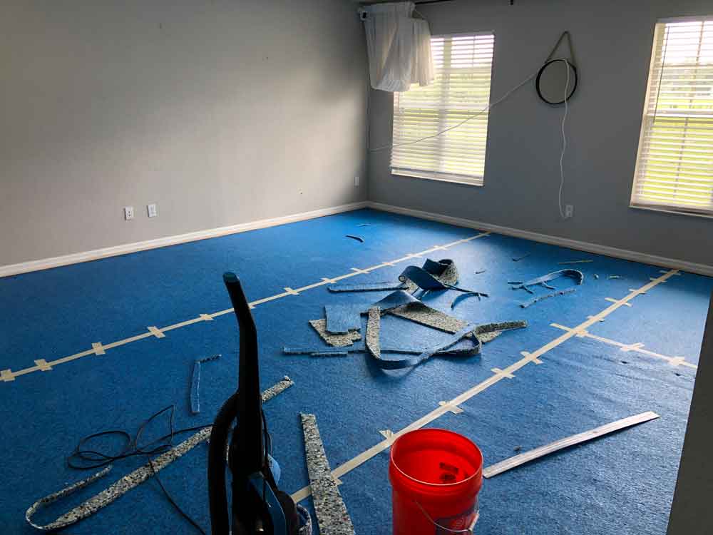 Bonus Room Makeover with Lifeproof Carpet