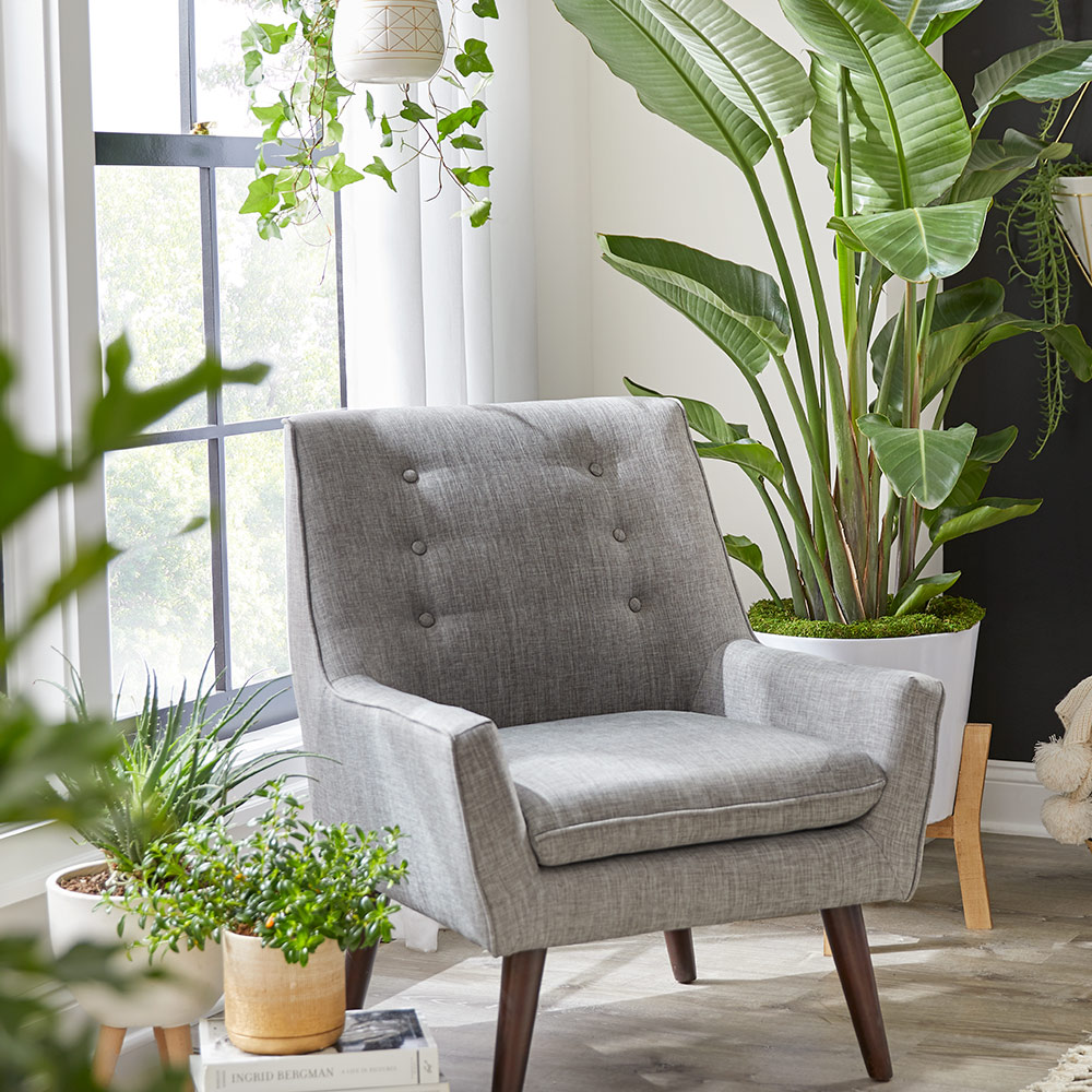 A Comfy Couch With Pillows Surrounded By Houseplants Stock Photo