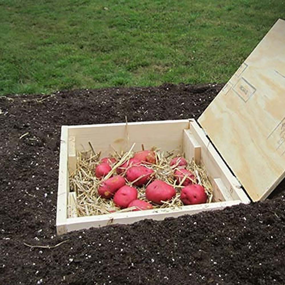 How to Build a Root Cellar