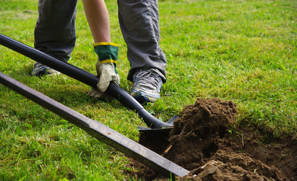 A person digs a hole in a grassy yard. A person digs a hole in a grassy yard.