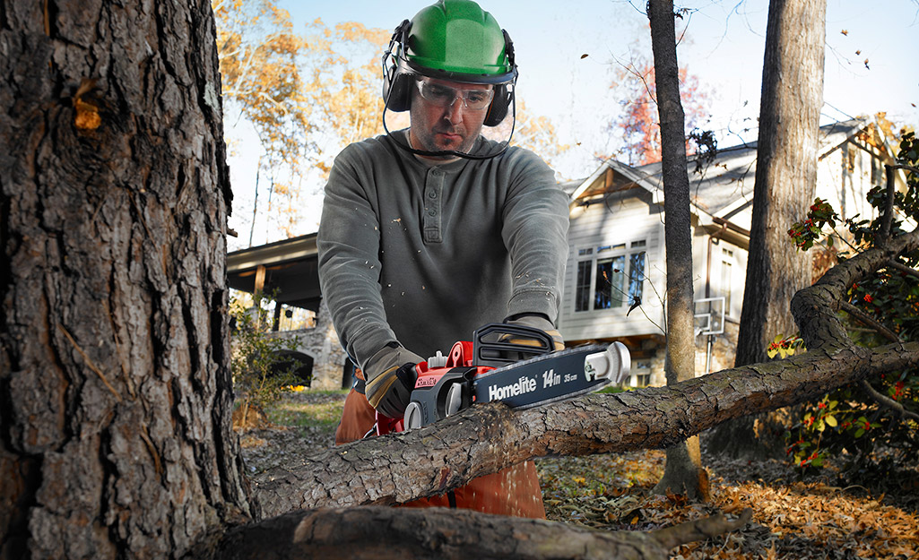 A person with safety gear using a chainsaw to cut a limb from a tree.