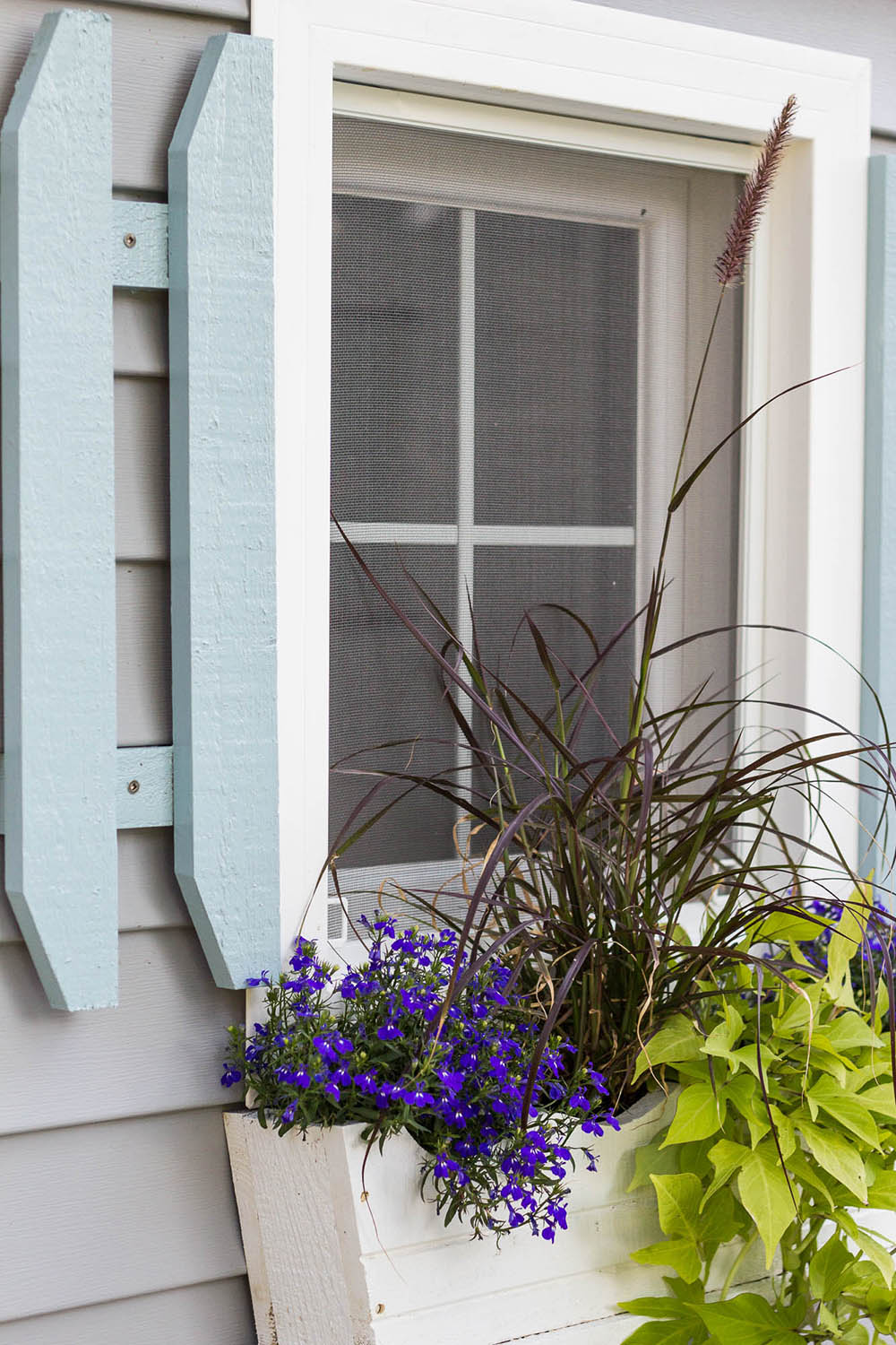 A window with light blue shutters and a flower bed attached with plants. A window with light blue shutters and a flower bed attached with plants.