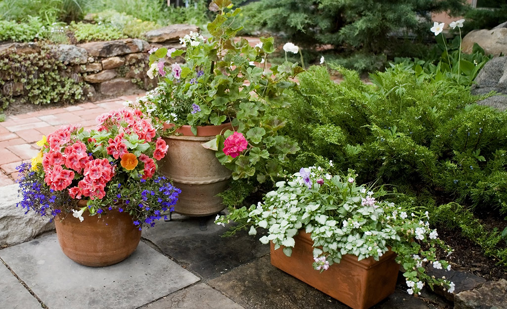 Collection of planters with flowers.