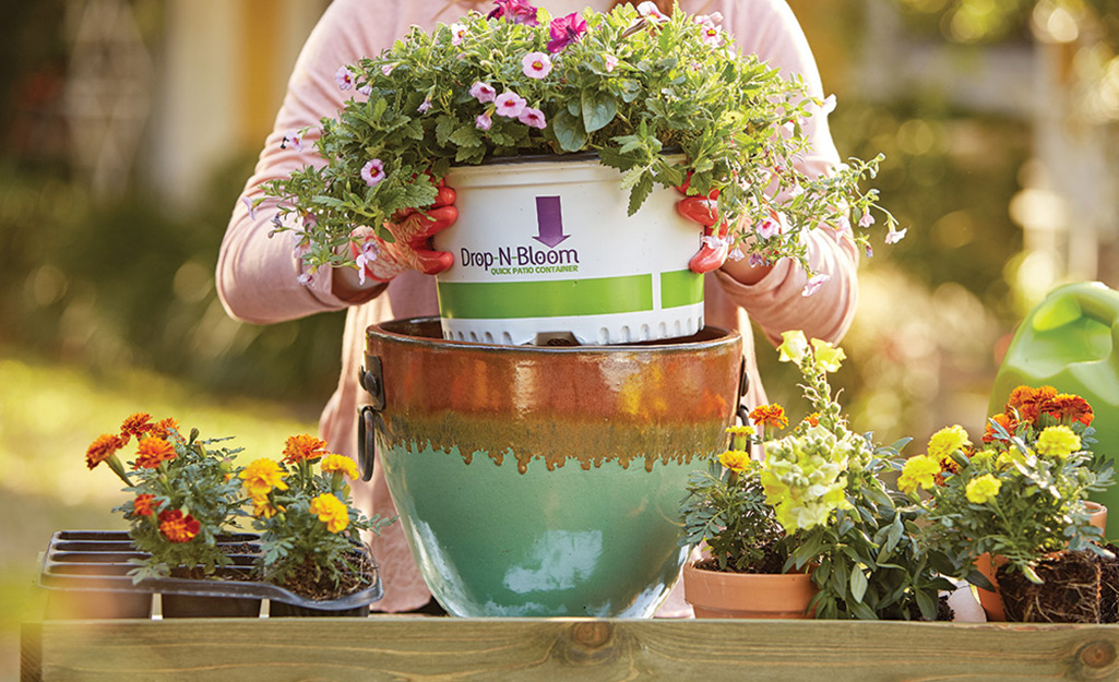 Gardener placing a nursery pot in a planter