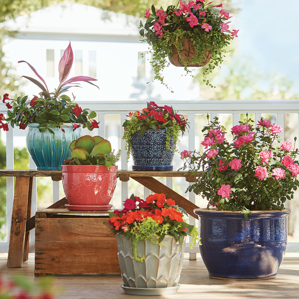 Container Garden Ideas The Home Depot