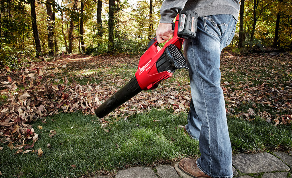 Corded vs. Cordless Outdoor Power Tools