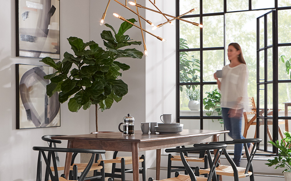 A potted plant in a corner.