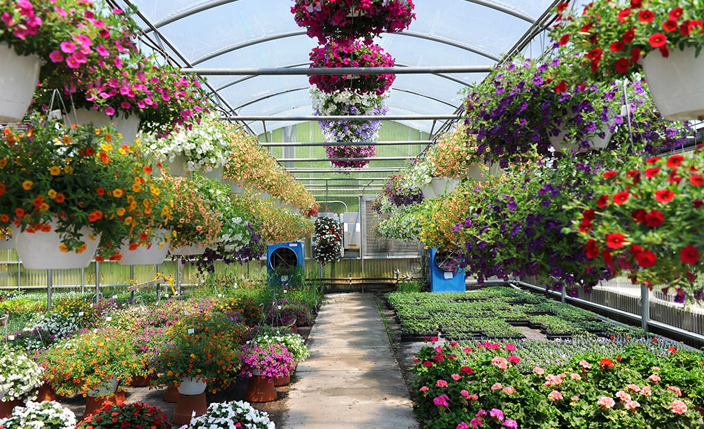 Count on Grand Flower Growers for Beautiful Spring Blooms The Home Depot