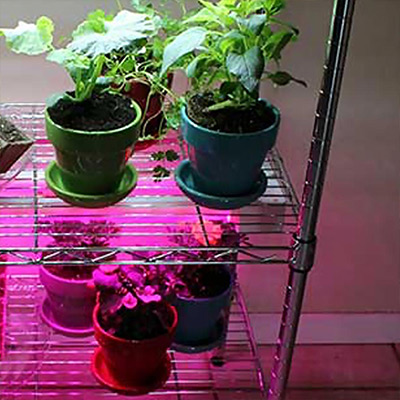 200 Led growing full spectrum Light indoor Plant Greenhouse Grow Vegetable 
