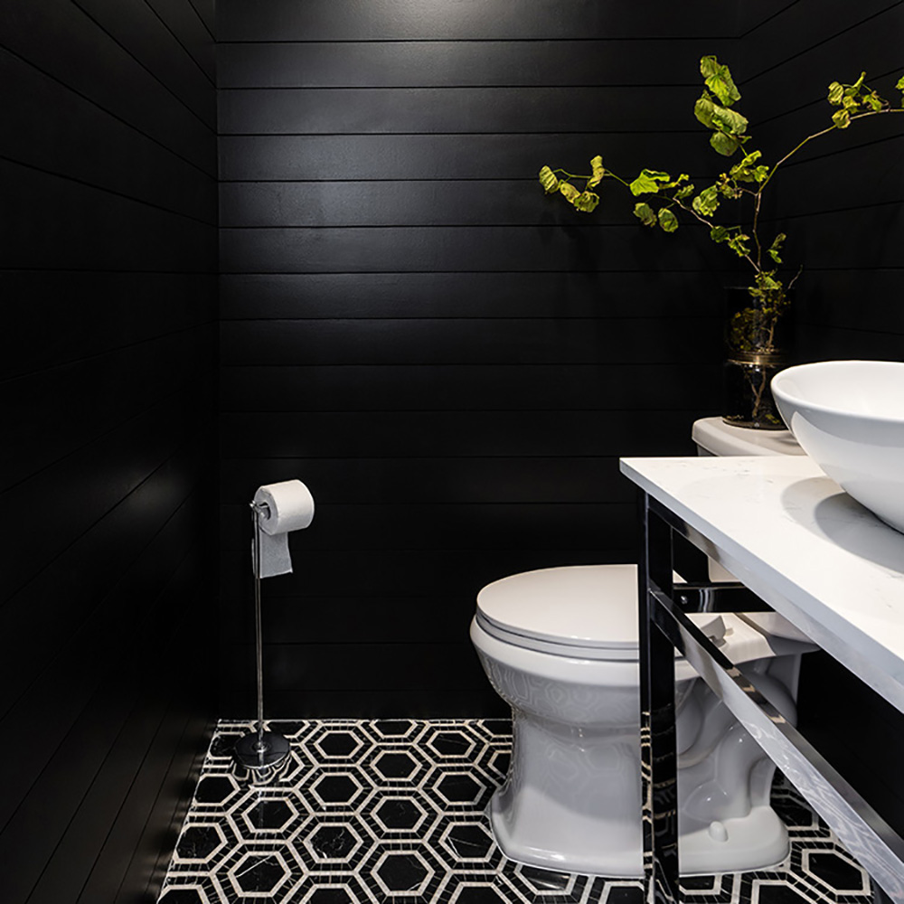 The black toilet: An unconventional bathroom accessory that's back