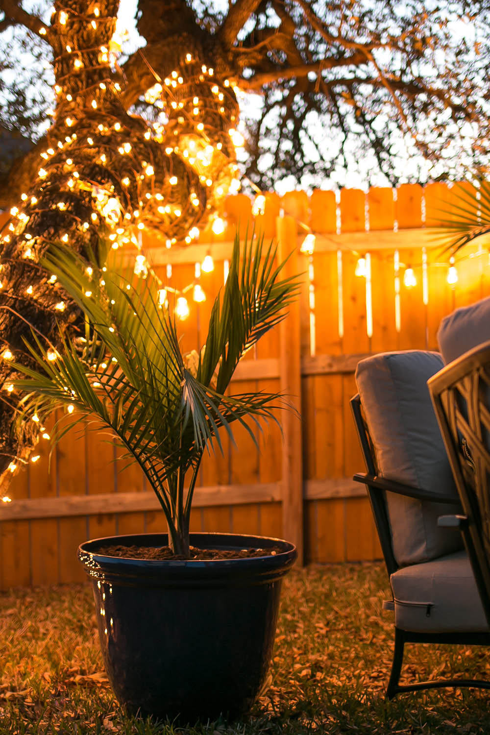 A backyard at night lit up by string lights. A backyard at night lit up by string lights.