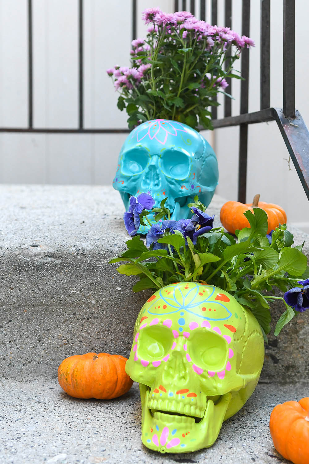 A pair of green and blue sugar skulls being used a planters.