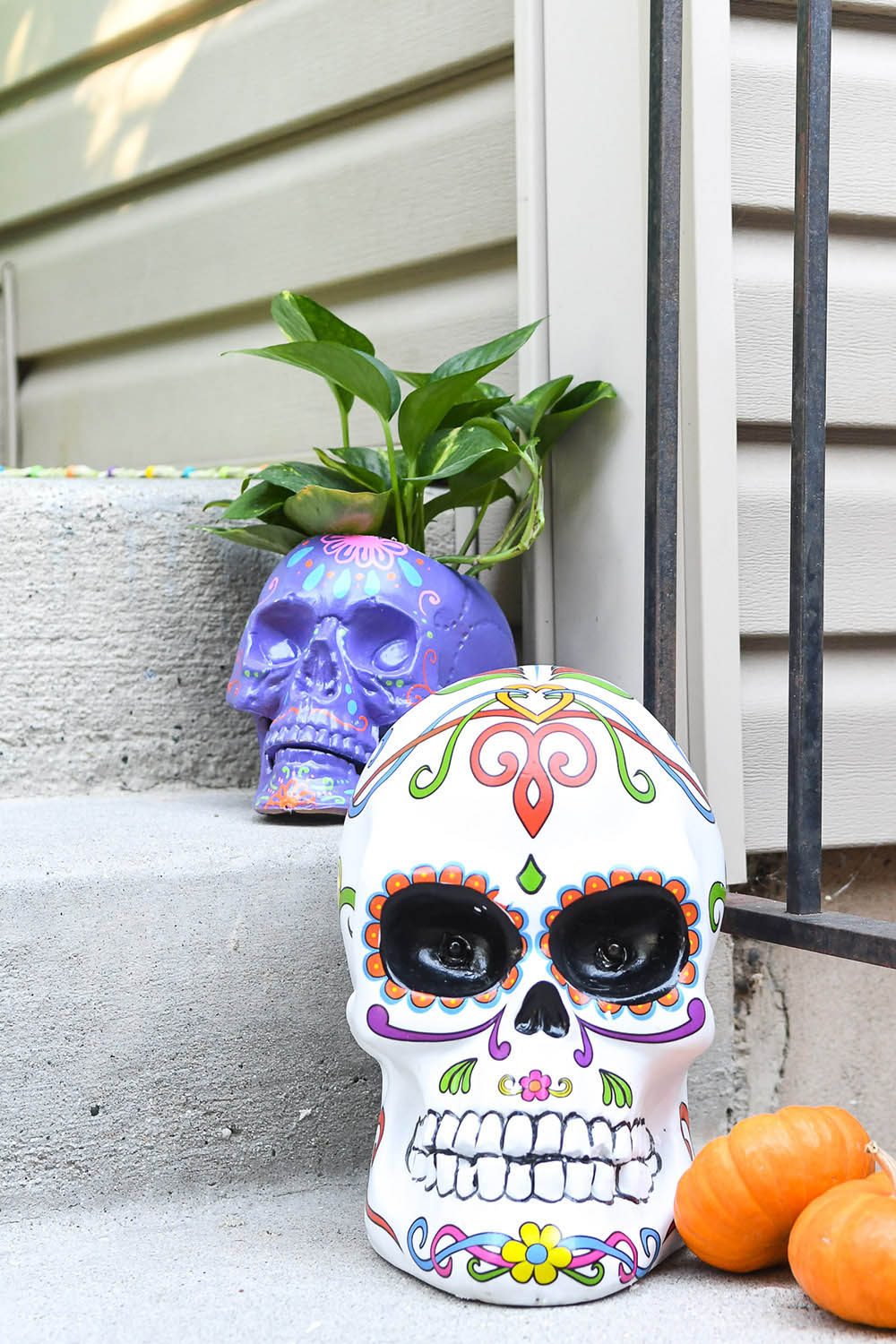 A white light up sugar skull displayed in front of a purple sugar skull.