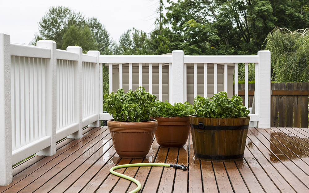 Freshly-watered potted plants stand on a deck by a white handrail.