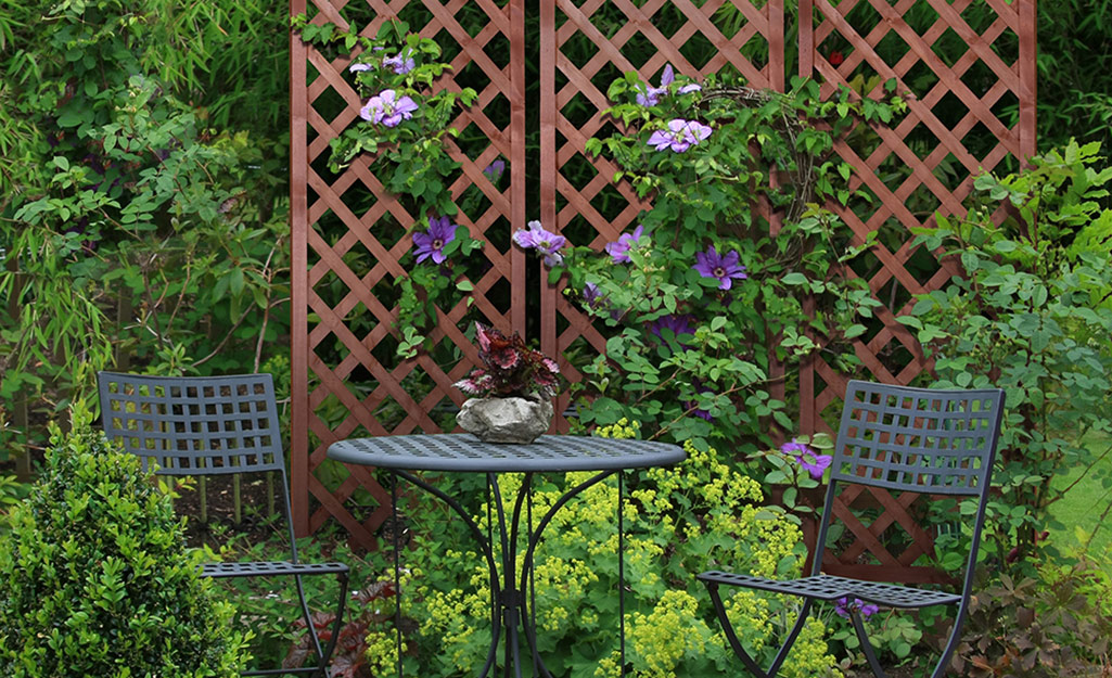 A wooden trellis covered with vines next to a patio.