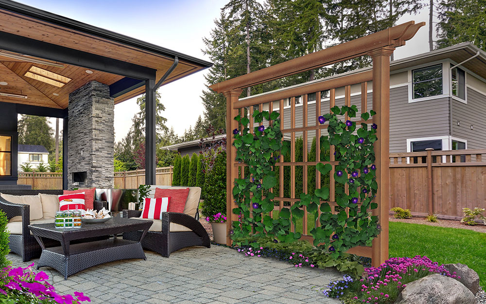 A wooden trellis with vines being used to shade one side of a patio.