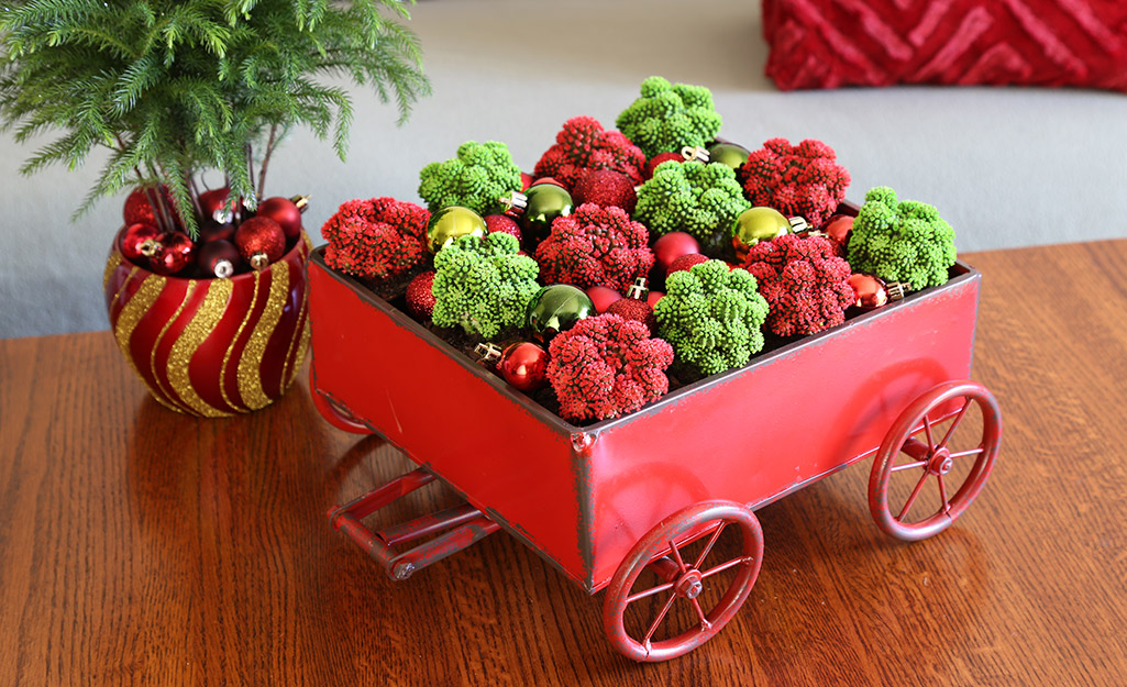 Cute and festive succulents inside a red wagon. Cute and festive succulents inside a red wagon.