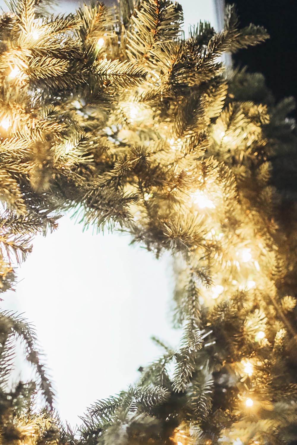 Christmas reef with lights Christmas reef with lights