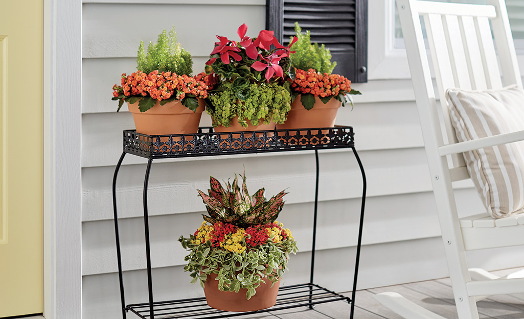 Colorful plants in terra cotta pots on a plant stand