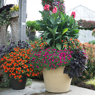 Recycle and Repurpose Containers for Plants - The Home Depot
