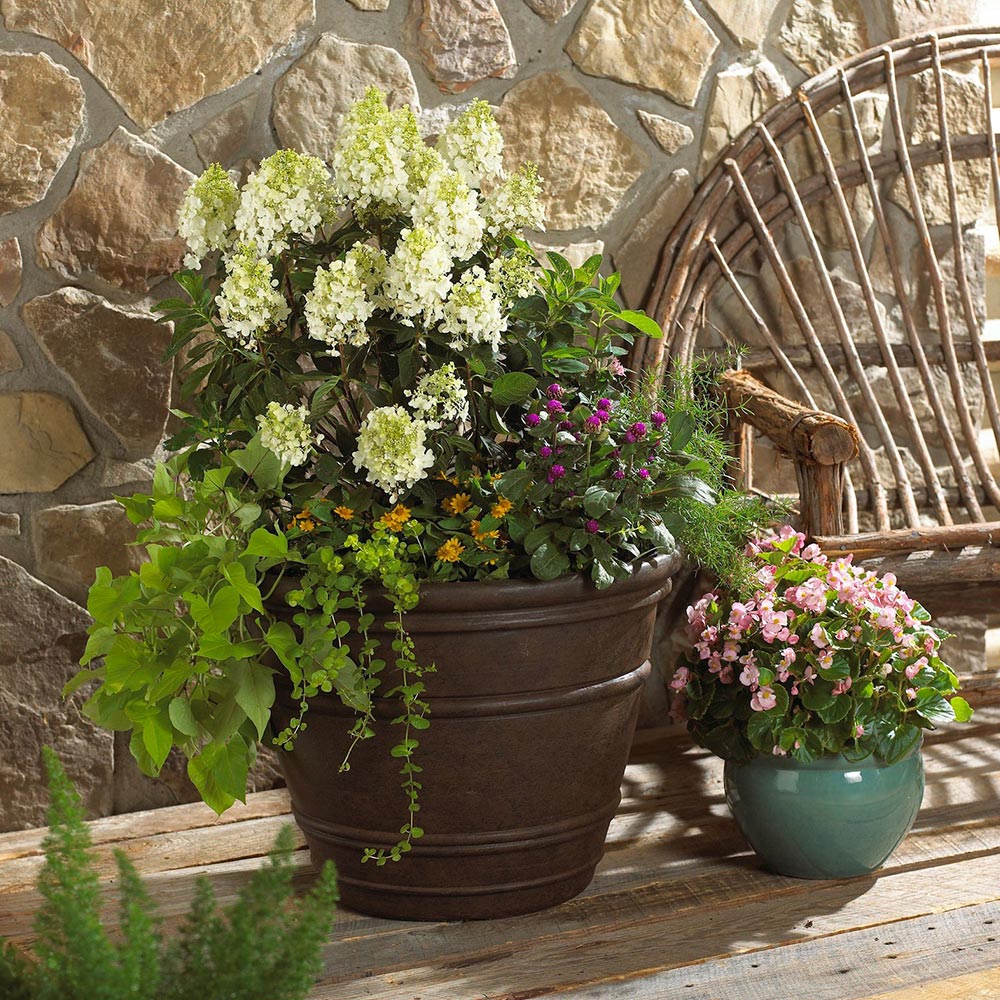 Colorful flowers in planters