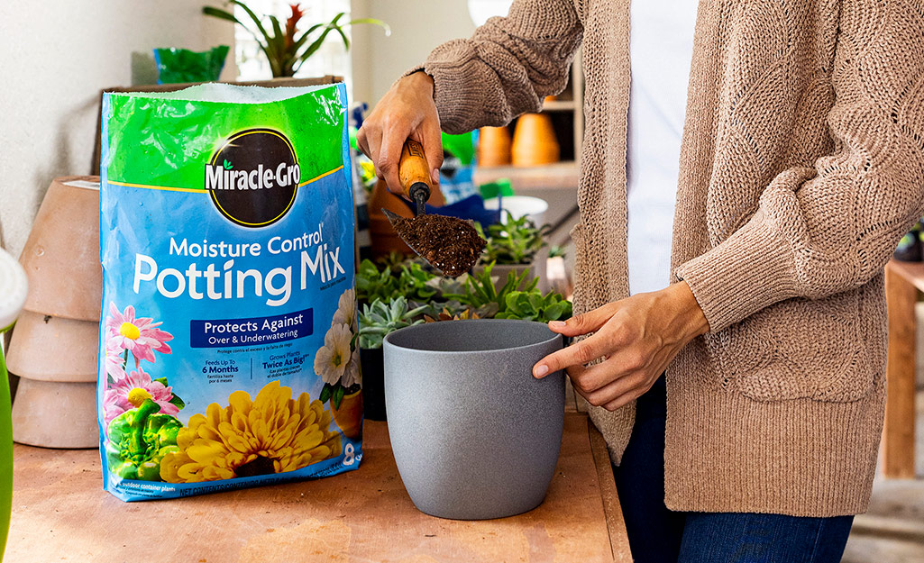 Gardener fills planter with soil