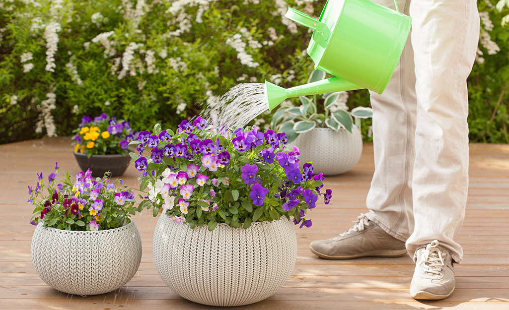 https://contentgrid.homedepot-static.com/hdus/en_US/DTCCOMNEW/Articles/discover-6-low-maintenance-tips-for-gardening-in-containers-2023-section-5.jpg