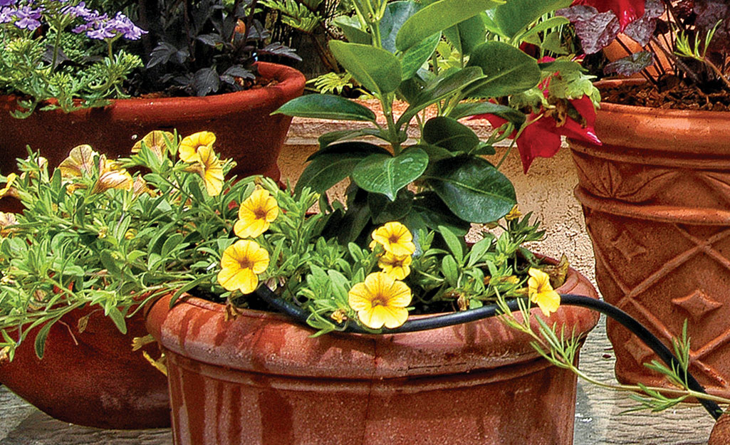 Planter with drip irrigation