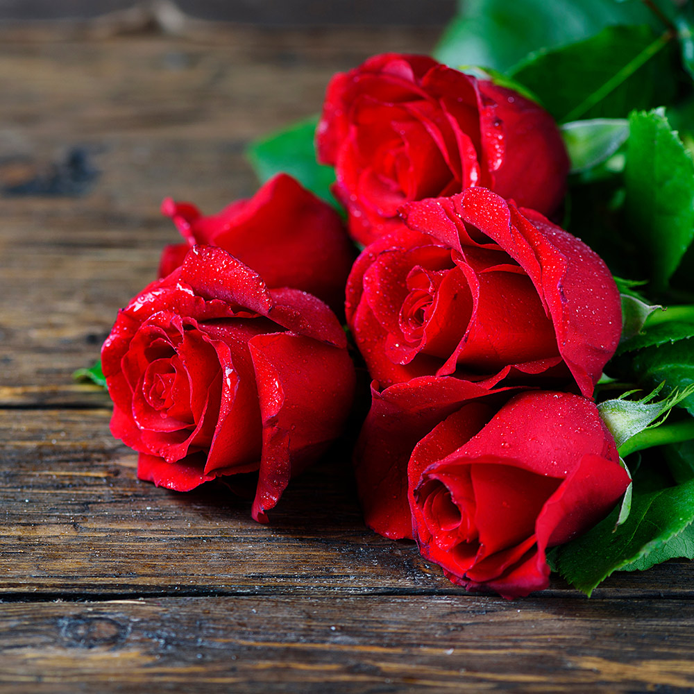 12 Best Flowers for Valentine's Day 2024 - Popular Roses & Arrangements to  Send to Your Valentine