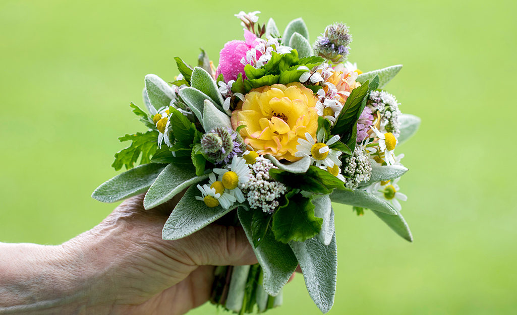 A hand holding a Tussie-Mussie bouquet of roses and other flowers