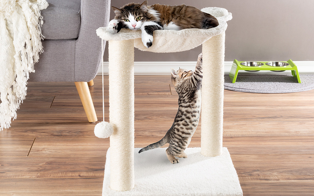 horizontal cat tree