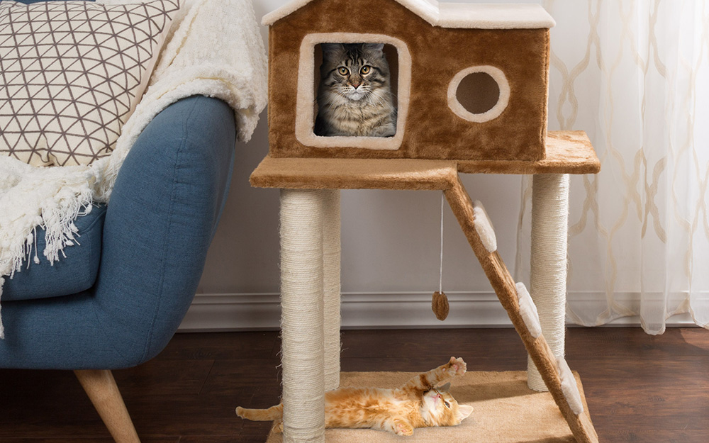tree cat house