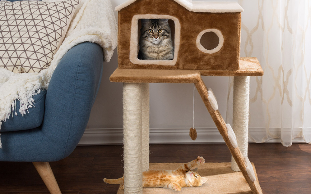 cardboard box cat tree