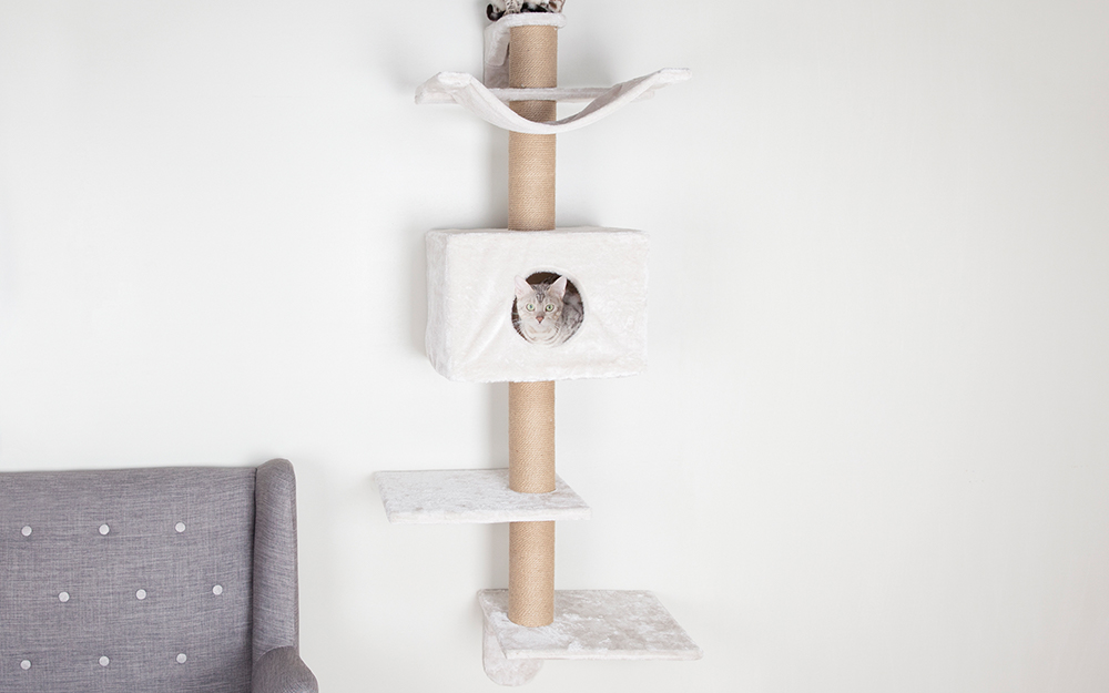 Diy Cat Tree, How To Build Your Own Cat Shelves