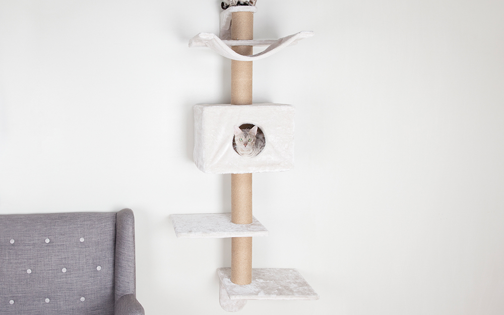 diy wall mounted cat shelves