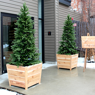 DIY Christmas Tree Planters to Spruce Up Your Entryway