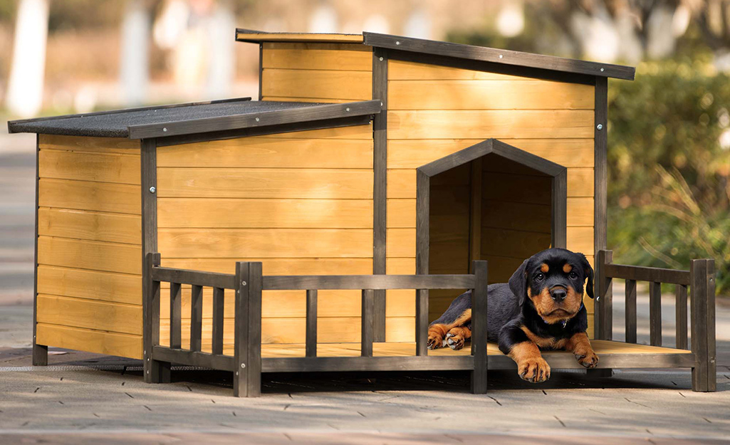DIY Insulated Dog House with Porch