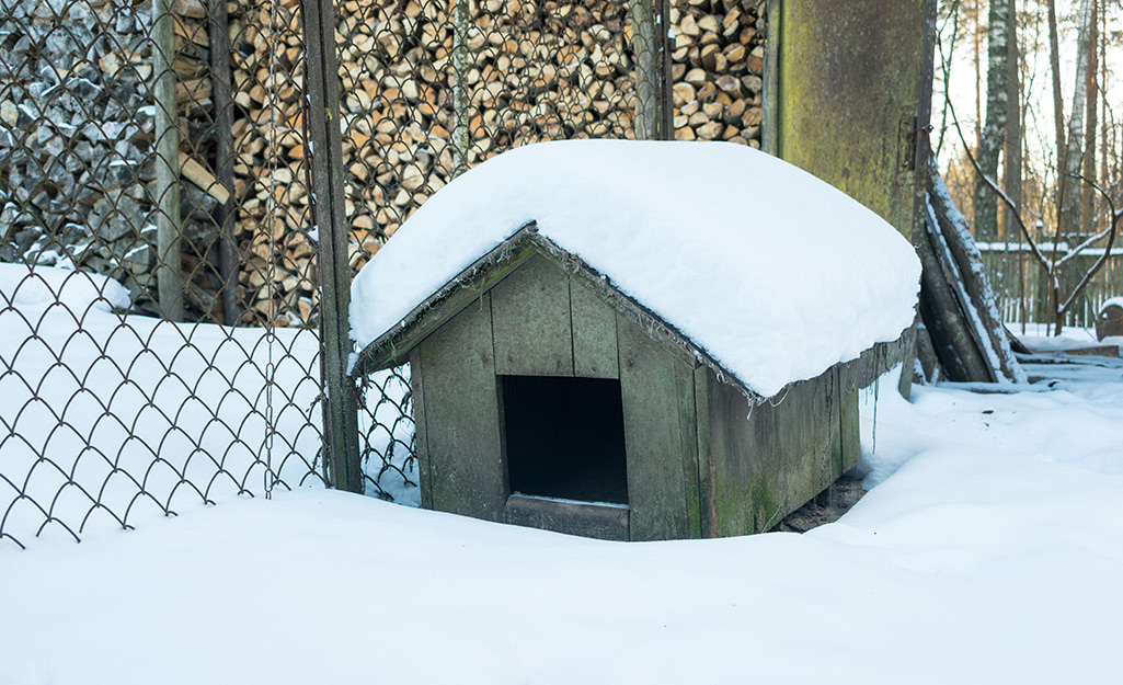 Dog house ideas for hot sale winter