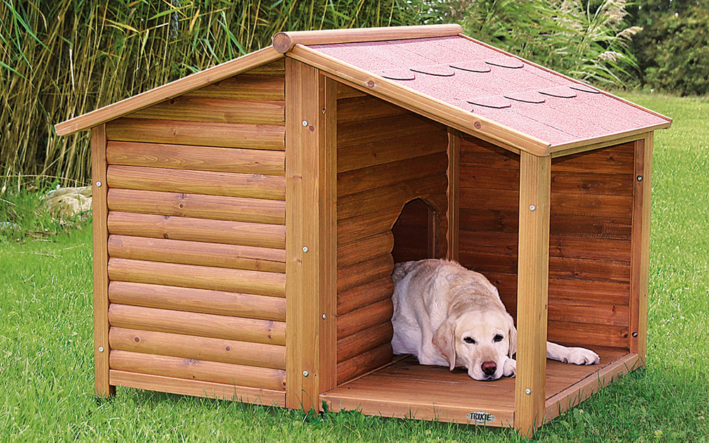 dog house with roof deck