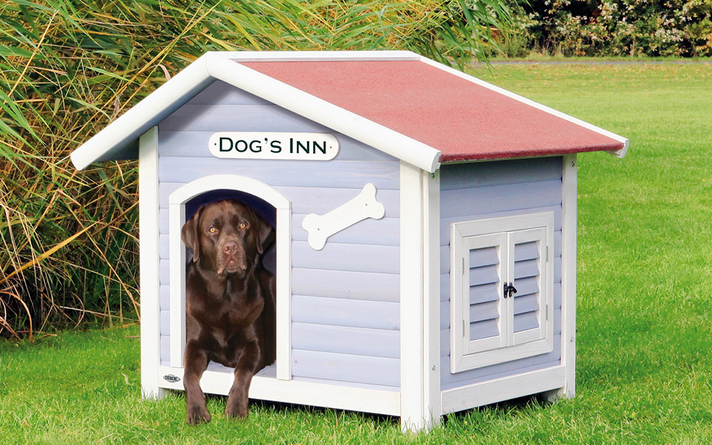 whimsical dog house