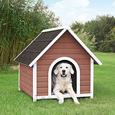 dog house with locking door