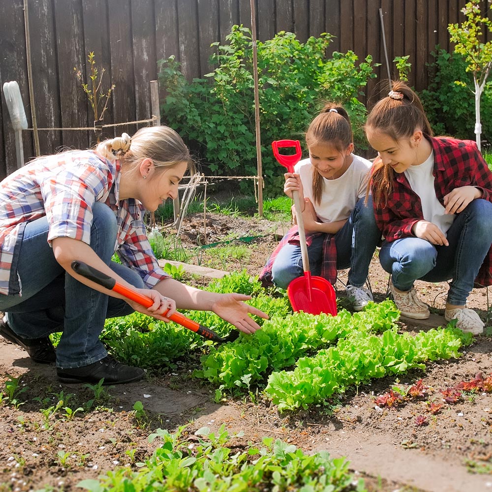 10 Tips for Organic Gardening At Home