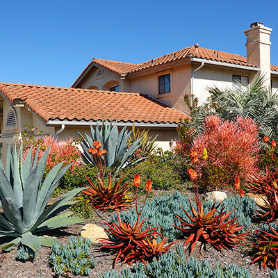 Drought tolerant landscape in a front yard