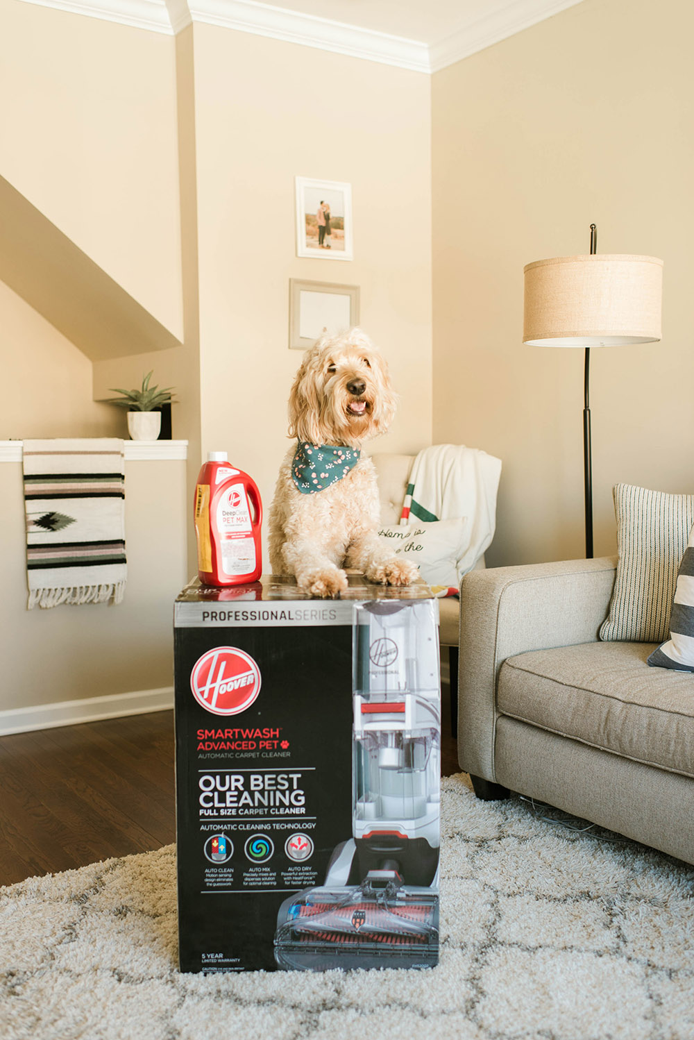 A dog with a bandana stands behind a Hoover SmartWash advanced pet carpet cleaner and box.