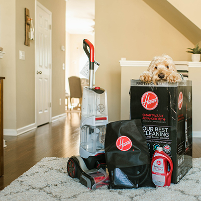 Easy Carpet Cleaning With Smartwash Pet Advance